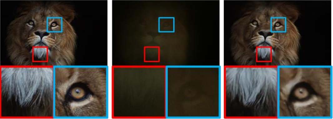 Original image of a lion; same image captured through P‑OLED is dark, faint, and barely discernible; recovered image closely resembles original with slight softness.