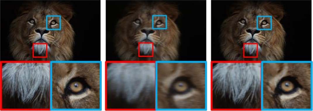 Original image of a lion; same image captured through T‑OLED is blurry; recovered image closely resembles original.